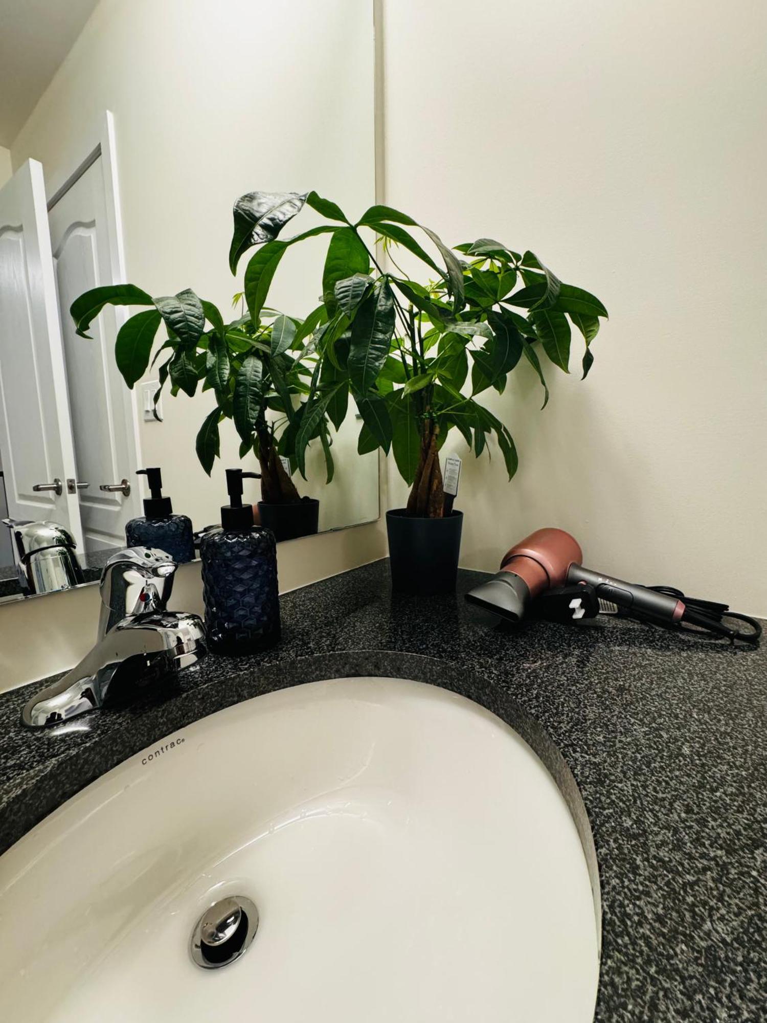 Have Whole House To Yourself Thorold Esterno foto